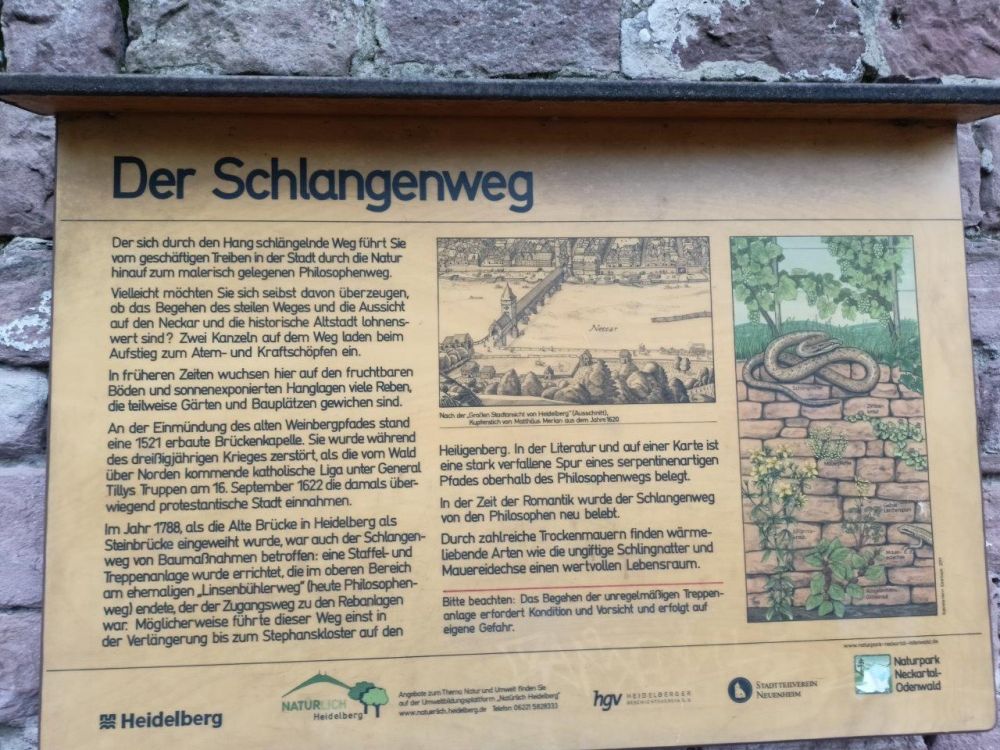 Schild des Schlangenwegs