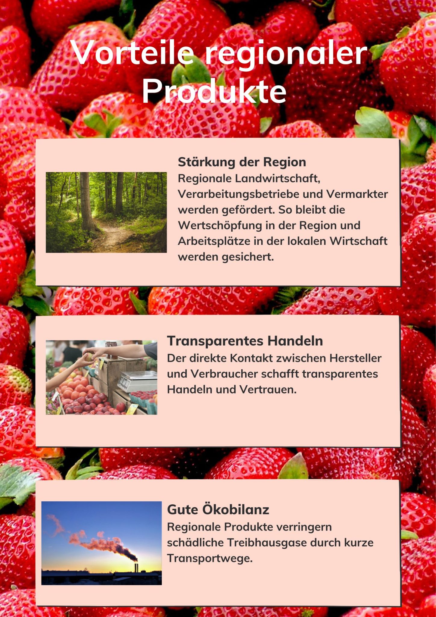 Regionalprojekt Regionalprojekt